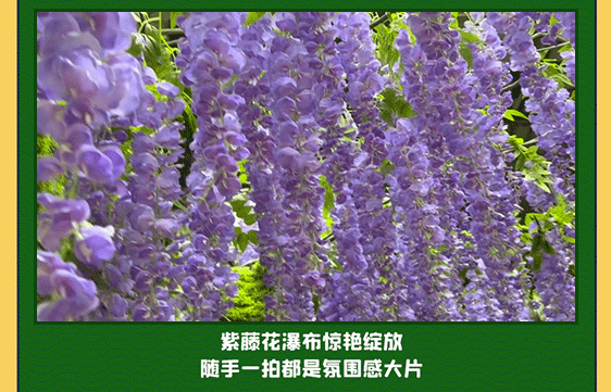 4_02.gif