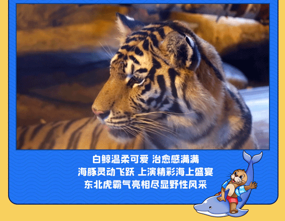 4_11.gif