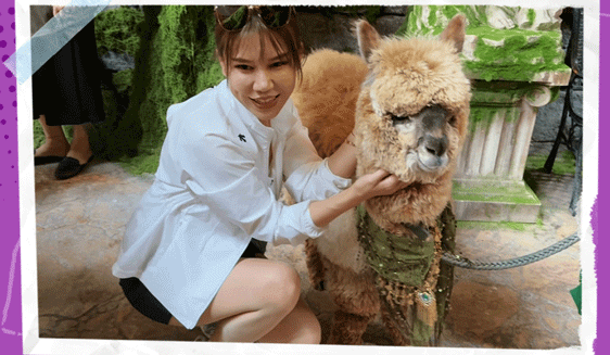 ��ͼ�ϳ��ļ�_19.gif