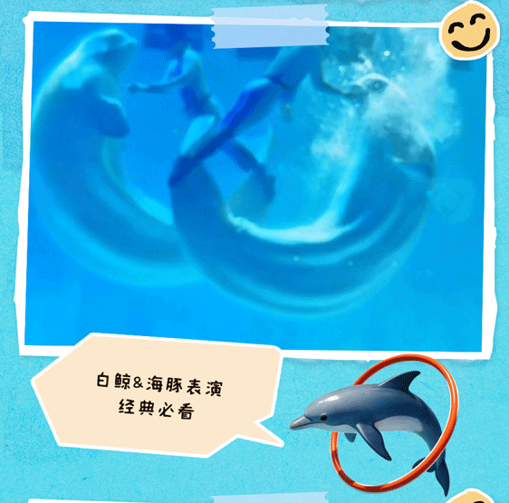 �������㹲���񻶸�˳΢���հ�_12.gif
