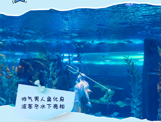 ʢ�Ŀ�΢���ռ���_12.gif