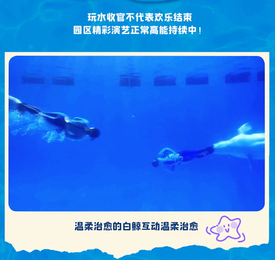 8_12.gif